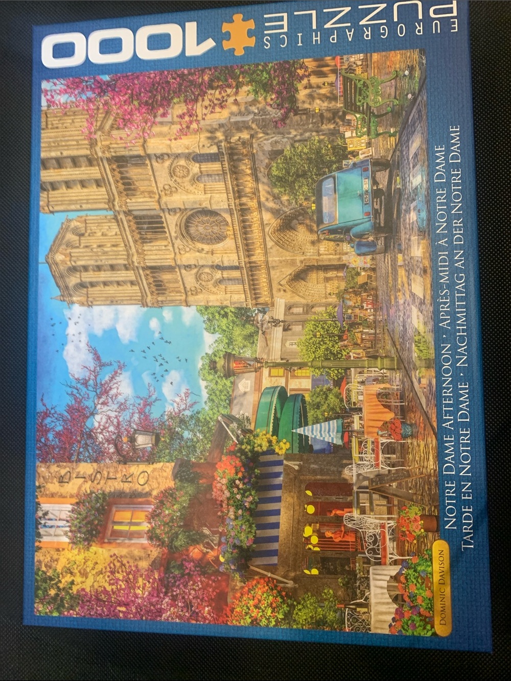 EuroGraphics 1000-Piece Notre Dame Afternoon jigsaw Puzzle - Multi-Color